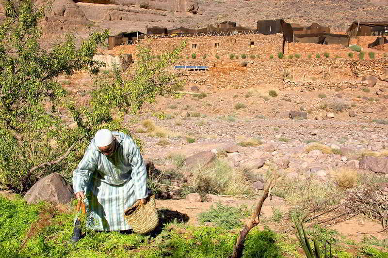 Ecolodge Ouednoujoum Ouarzazate Ngoại thất bức ảnh